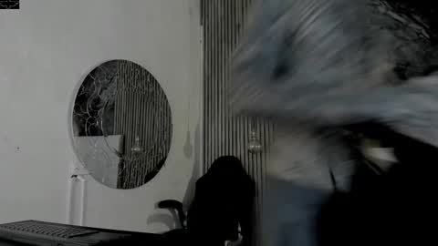     ... online show from February 2026 03:47:01 AM