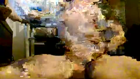 onlyfunnowchat online show from January 2026 05:38:02 PM