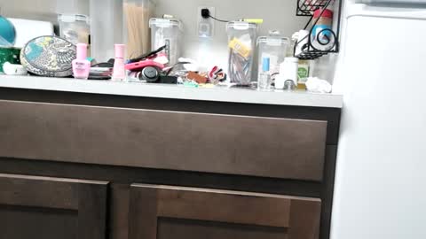 TsJojo online show from February 2025 03:52:01 PM