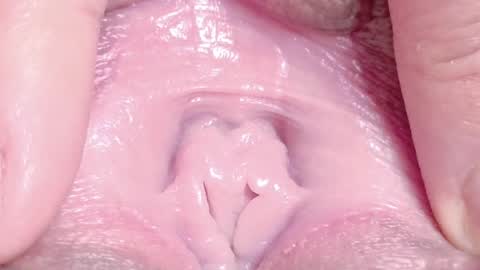 orchidekitty online show from April 2026 09:12:02 PM