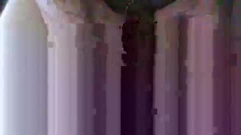 oretrail online show from November 2025 08:17:01 AM