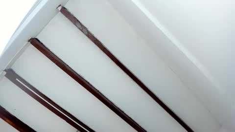 Miss Guzman  online show from January 2025 05:45:02 PM