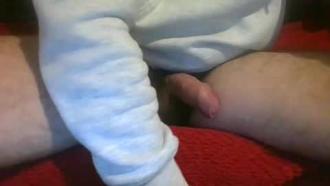 Snapshot of ornytologist chatting on December 2024 09:39:02 AM ornytologist online show from December 2024 09:39:02 AM