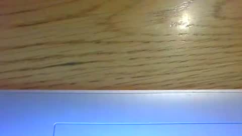 Snapshot of ornytologist chatting on January 2025 01:48:02 PM ornytologist online show from January 2025 01:48:02 PM