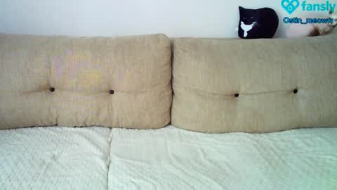 Ostin online show from March 2025 05:17:02 AM