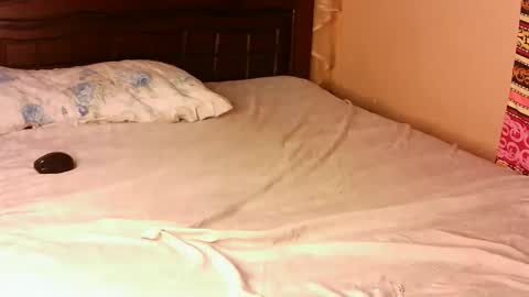 Pacie online show from November 2025 12:15:02 PM