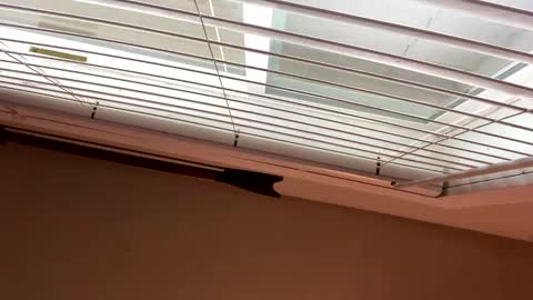 packinnstackin1996 online show from January 2026 05:05:02 PM