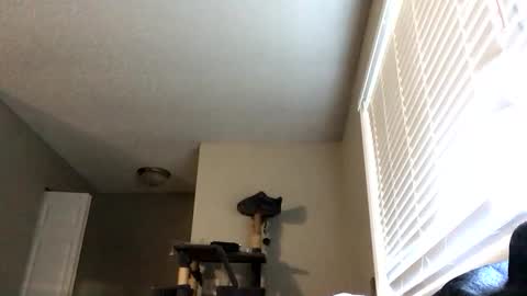 Snapshot of paigechantel chatting on February 2026 11:45:01 PM paigechantel online show from February 2026 11:45:01 PM