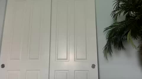 palmflacco online show from October 2025 05:44:02 PM