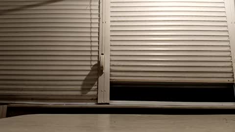 angel hris online show from December 2025 05:11:02 PM