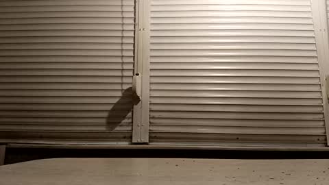 angel hris online show from February 2026 05:08:01 PM