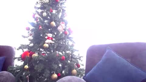 Snapshot of pandora__1 chatting on December 2025 05:41:01 PM pandora__1 online show from December 2025 05:41:01 PM