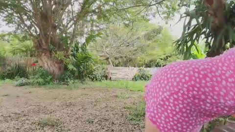 paoguerrax354 online show from April 2026 06:10:01 PM