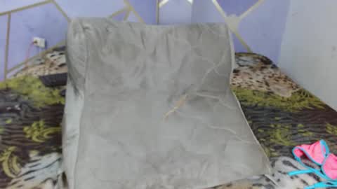 Paola Stone online show from March 2026 02:22:02 PM