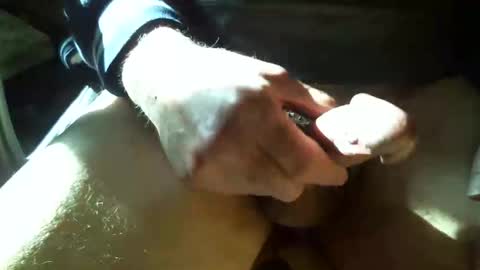 Shmoo online show from February 2026 06:18:01 PM