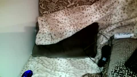 Parlay tellio online show from December 2024 10:33:02 PM