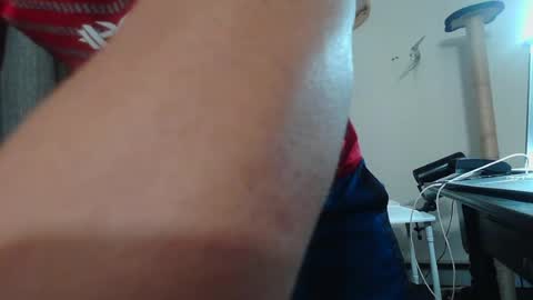 pasexhibe online show from July 2026 03:20:02 AM