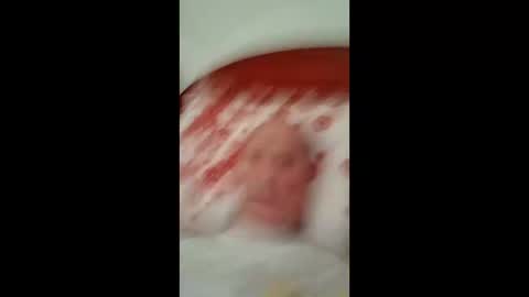 Pati24 online show from December 2025 06:31:01 AM