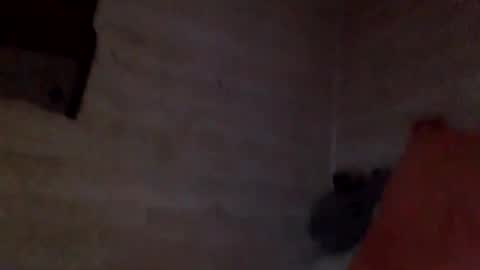 Pati24 online show from February 2026 10:25:01 AM