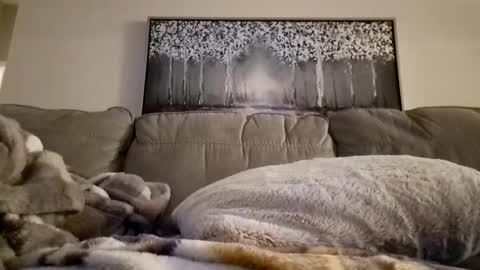 patrick247288 online show from February 2025 12:22:02 PM