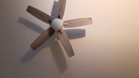 patrick247288 online show from September 2025 04:25:02 AM