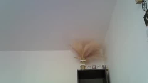 patrick5275 online show from December 2024 11:44:02 AM