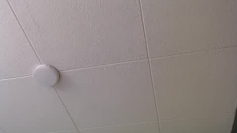 Paul online show from October 2025 01:00:02 PM