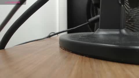 PAUL online show from November 2025 12:27:02 PM