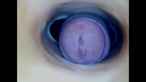 Paula 18 Aninhos online show from March 2026 03:17:01 AM