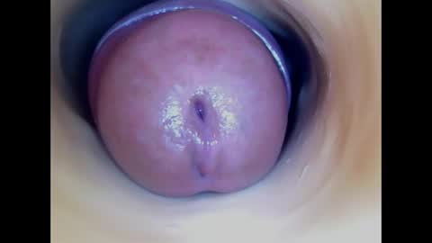 Paula 18 Aninhos online show from April 2026 03:53:02 PM