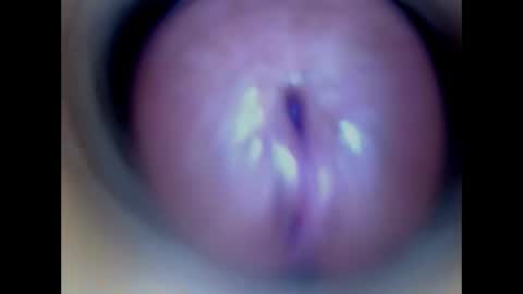 Paula 18 Aninhos online show from April 2026 02:20:01 AM