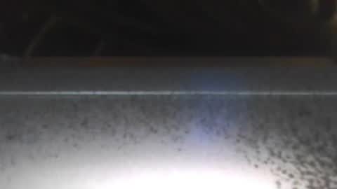 paulstetson online show from December 2024 08:00:02 PM