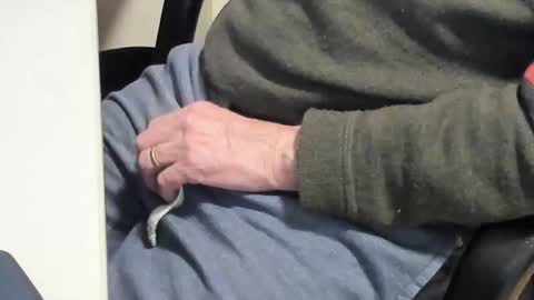 Paul online show from February 2025 06:45:02 PM