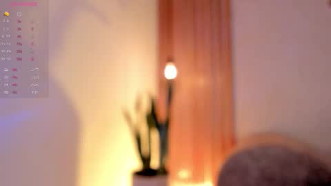 Dani online show from November 2025 04:25:01 PM