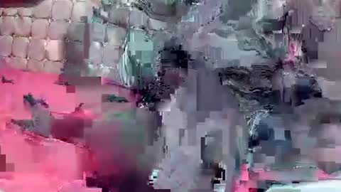 Coco channel  online show from December 2024 08:49:02 AM