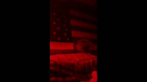 pbtalentscout online show from March 2026 04:40:01 AM