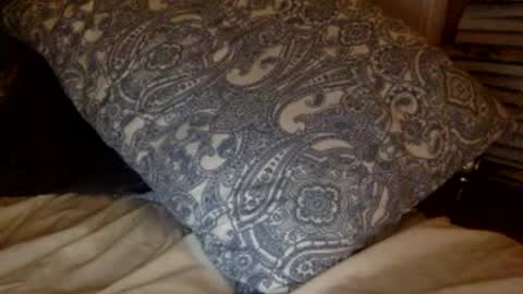 Snapshot of pea23 chatting on February 2026 11:38:01 PM pea23 online show from February 2026 11:38:01 PM