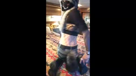 Pearl online show from April 2026 09:28:01 PM