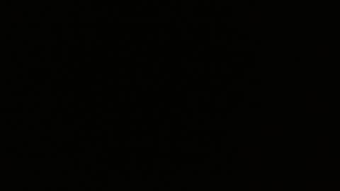 pearlatin online show from January 2025 02:48:02 AM