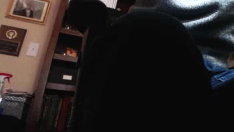 pem1650 online show from January 2025 10:54:01 PM