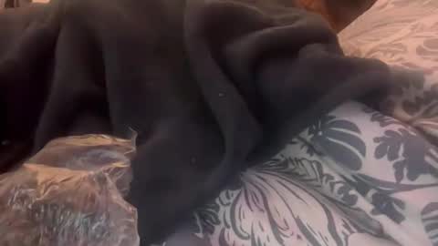 penutbutter691 online show from February 2026 11:29:02 AM