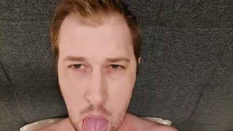NordicBullForMilking online show from July 2026 11:23:02 AM