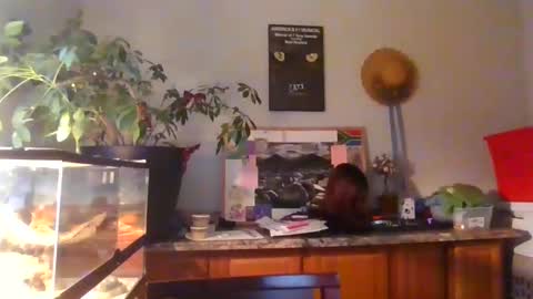 Perinne50 online show from December 2024 09:20:02 PM