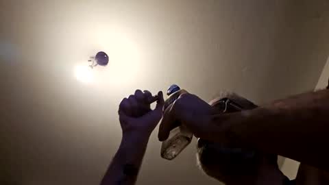 pervpig1 online show from November 2025 10:45:01 PM