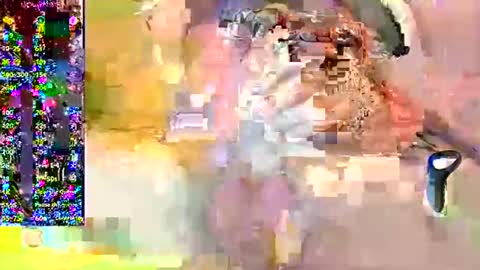 Petardo online show from December 2024 09:36:02 AM