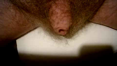 peterpeteropoulos online show from February 2025 09:10:01 PM