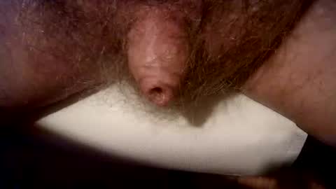 peterpeteropoulos online show from March 2025 08:00:01 PM