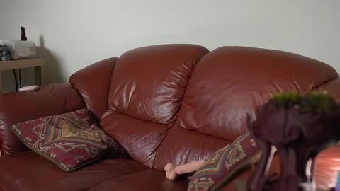 Snapshot of petitecut chatting on March 2025 05:27:02 AM caracal online show from March 2025 05:27:02 AM