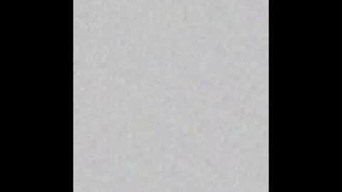 peytonn_monroe online show from November 2025 11:33:02 AM