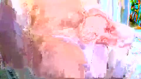 Gabu online show from November 2025 08:59:02 AM